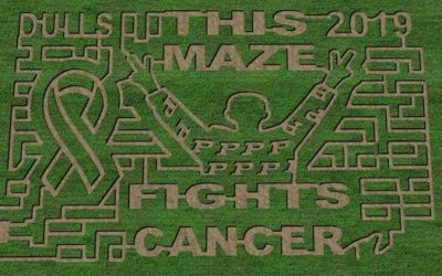 'This maze fights cancer': Tyler Trent honored with corn maze design – Indianapolis Star