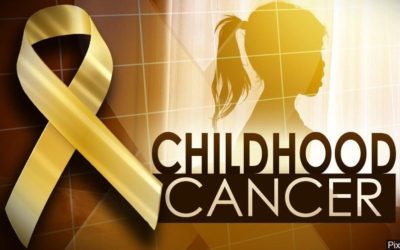 Gov. Pritzker signs bill creating Pediatric Cancer license plates – khqa.com